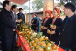 Luc Yen orange awarded collective trademark 