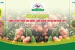 Luc Ngan lychee week opens in Hanoi