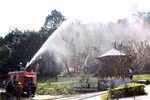 Phu Tho eager for Hung Kings Temple festival