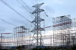 EVN asked to keep key role in national electricity supply