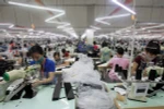 Vinh Phuc lures 46.6 million USD of FDI in two months