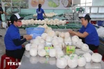 Processing fresh coconuts for export at Hung Thinh Phat cooperative in Cho Gao district, Tien Giang province. (Photo: VNA)