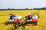 Illustrative image (Photo: vneconomy.vn)