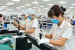 Da Nang steps up startup investment activities with Japanese partners