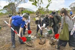 Youth union members plant more than 1,000 trees in Ta Cu Natural Reserve