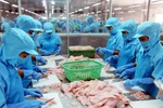 Seafood stocks expected to grow in 2022 on bullish outlook