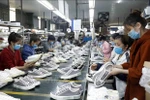 Vietnamese firms seek to tap benefits from EVFTA