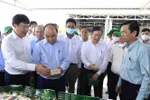 President asks Dong Thap to step up scientific-technological application in collective economy