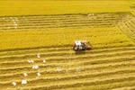 Vietnam targets ecological, sustainable agriculture