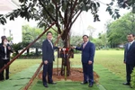 Japanese PM attaches importance to relations with Vietnam: Foreign Press Secretary