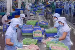 Vietnam, US continue working towards harmonious, sustainable trade ties