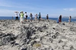 Ninh Thuan preserves biodiversity with ecotourism