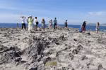 Ninh Thuan preserves biodiversity with ecotourism