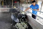 Soc Trang pumps money into Khmer areas to eliminate poverty