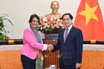 UN official impressed by Vietnam’s climate commitments