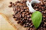 Coffee export turnover exceeds 2 billion USD in five months
