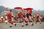 Street carnival attracts audiences in Hoa Binh province