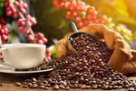 Japan’s coffee imports from Vietnam increase