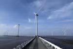 Vietnam needs strong financial sector to decarbonise economy: UN official