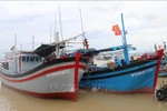 Ba Ria-Vung Tau: fishing vessels without monitoring system not allowed to go out to sea 