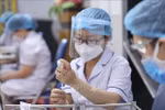 Six global trends that will shape Vietnam’s future: HSBC