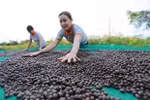 Vietnam’s economic growth accelerates on back of exports, manufacturing: Bloomberg