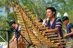 Can Tho to host exhibition on traditional musical instruments of Vietnamese ethnic groups