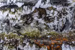 Cao Bang: Frost covers top of Mount Phja Oac