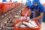 Vietnam, EU seeks stronger agricultural cooperation