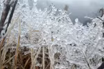 Bitter cold in northern region to linger until February 22