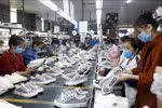 Vietnamese firms seek to tap benefits from EVFTA
