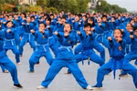 Algeria hosts 20th national Vovinam championship 
