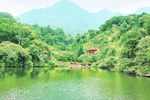 Hanoi has grounds for further accelerating tourism recovery