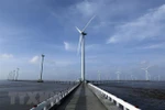 Climate change response – Vietnam-US strategic cooperation area: Deputy PM