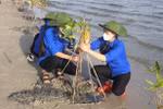 UNDP helps Vietnam strengthen women’s resilience to climate change 