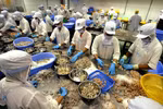 Vietnamese businesses seeking to further penetrate South Africa