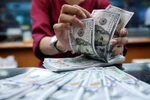 US Treasury Department recognises Vietnam’s progress in addressing currency-related concerns