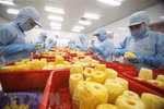 Four out of 10 Vietnamese businesses benefit from EVFTA: VCCI survey
