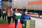 Phu Tho ships first batch of Doan Hung pomelo to Russia