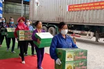 Phu Tho ships first batch of Doan Hung pomelo to Russia