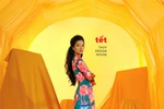 Famous designer's ao dai collection celebrates 'Tet'