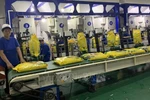 Vietnam aims to boost rice export to ASEAN