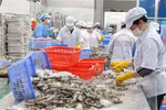 Nearby markets recommended for enterprises to boost exports