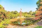 Hanoi: Son Tay old fortress citadel boasts historical, architectural values