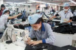  Dong Nai posts trade surplus of over 1.5 billion USD