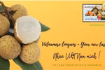 Ten tonnes of Vietnamese longan exported to Australia