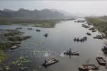 Vietnam joins efforts to restore ecosystems