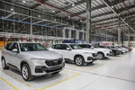 Automobile sale strongly rebounds in 7 months