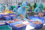 Aquatic exports surge nearly 44 percent in first four months