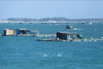 Khanh Hoa eyes sustainable development of industrial seaculture 